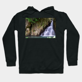 Waterfalls in the forest Hoodie